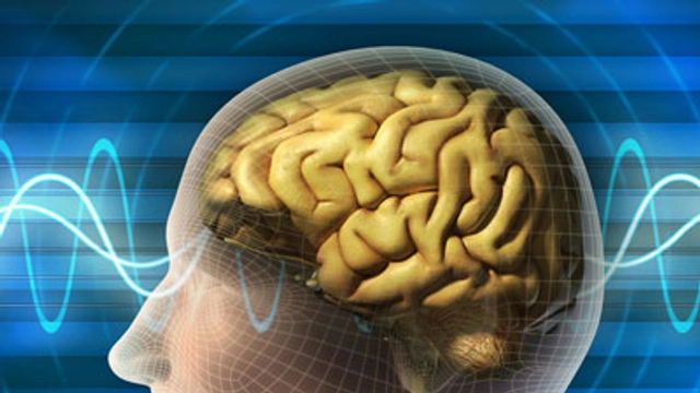 Online Course: Understanding the Human Brain